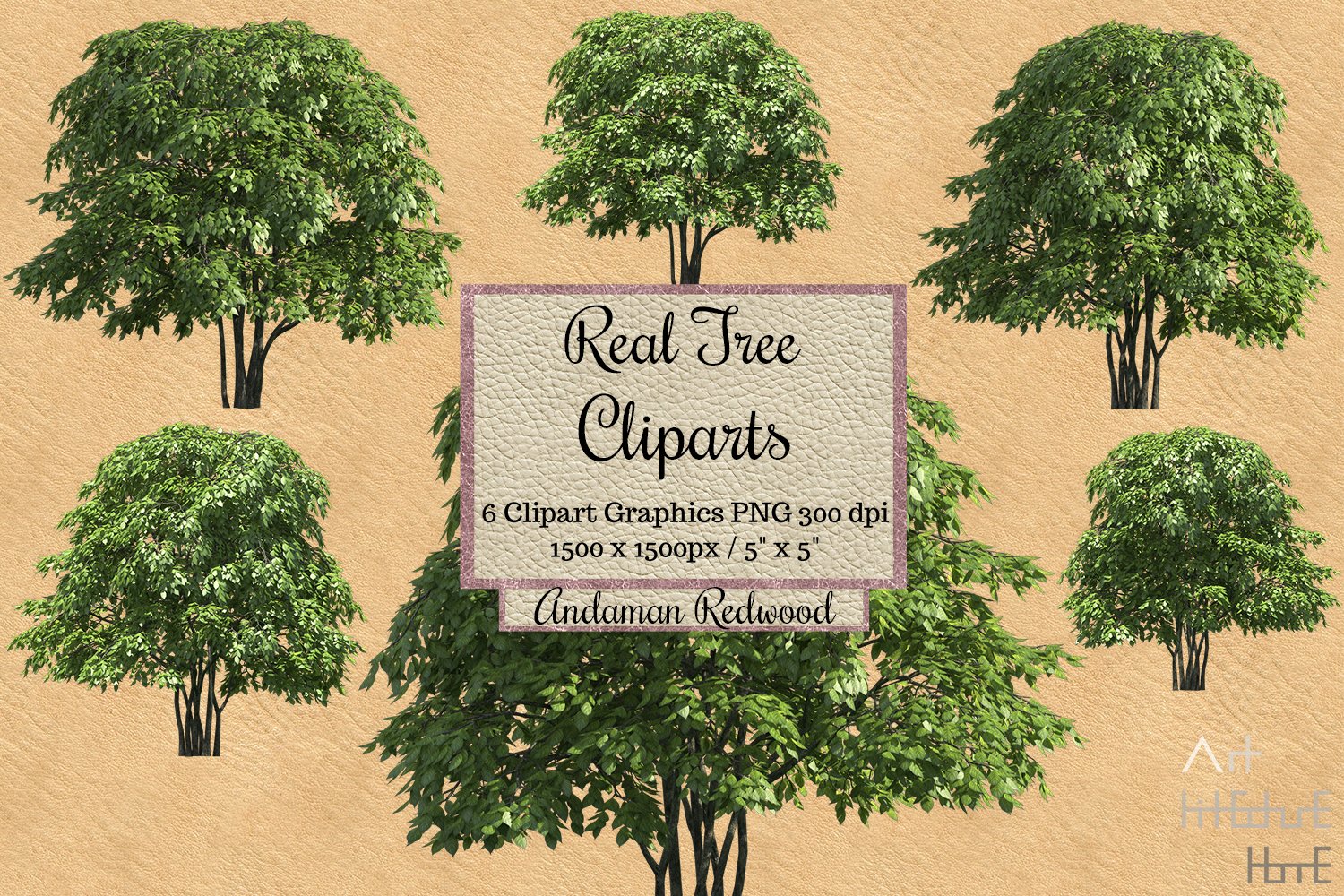 Royalty-Free (RF) Clipart Illustration of a Tall Redwood Tree by 