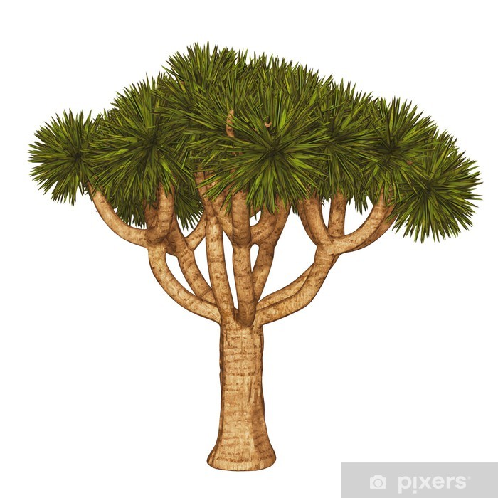 Joshua Tree Vector Art, Icons, and Graphics for Free Download