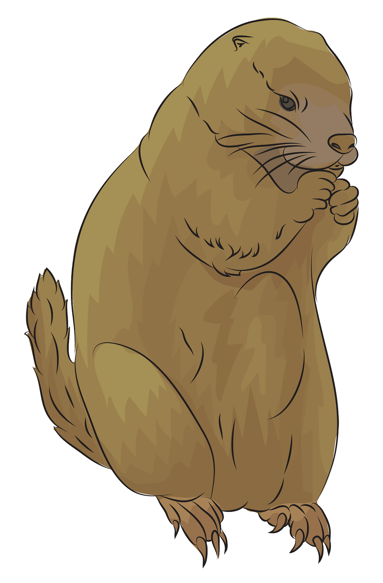 Marmot Or Prairie Dog?  The Ultimate Guide To Identifying Them! - 42rplsf