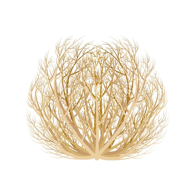 Tumbleweed clipart images in SVG, PNG, GIF - Clip Art Library
