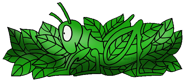 Adaptation Wild Animals Of The North PNG, Clipart, Amphibian 