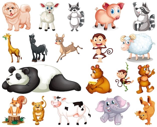 clipart baby animal