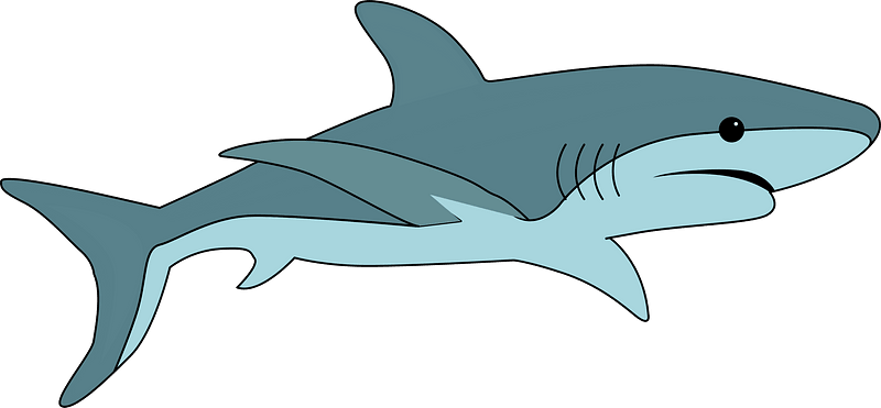 Friendly Shark Stock Illustrations – 943 Friendly Shark Stock - Clip ...