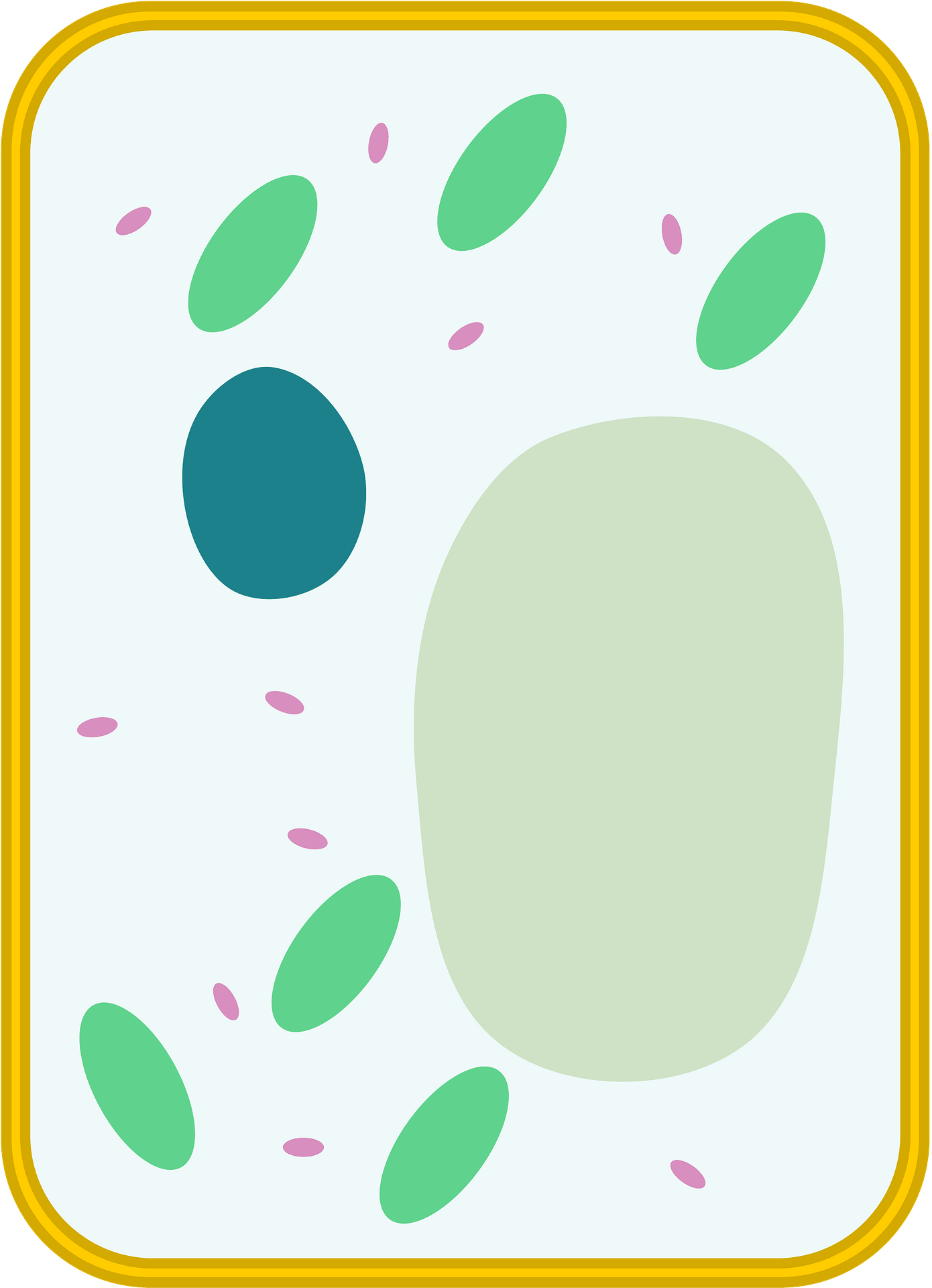 Plant Cell Free Education Icons Clip Art Library