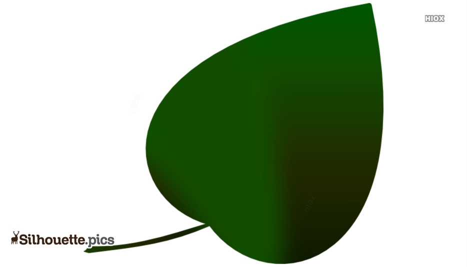 Simple leaf outline templates how to draw doodle clipart 