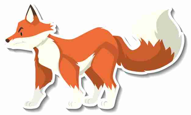 Fox Tail Clipart Images | Free Download | PNG Transparent - Clip Art ...