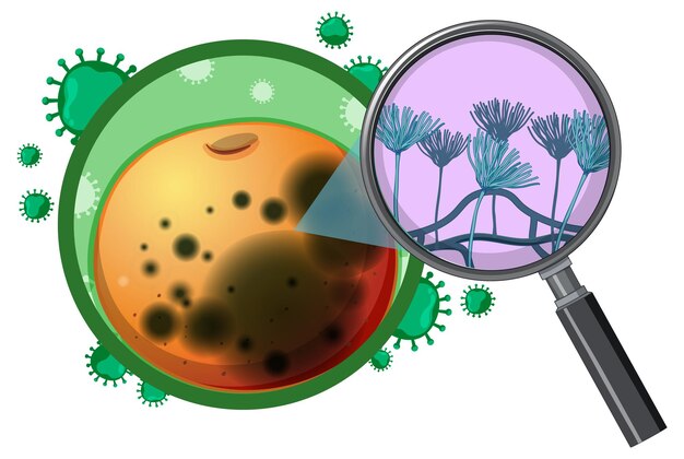 Microbiology Stock Illustrations – 195,117 Microbiology Stock 