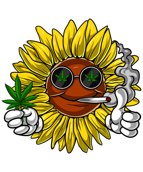 Amazon.com: Rainbow Hemp Weed Cannabis Marijuana Stoner Sticker 