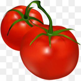 clipart tomato plant