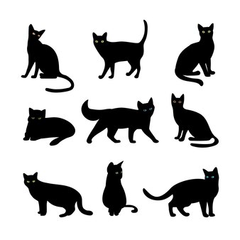 Cat On The Table Transparent Clear Pattern Stamps For DIY 
