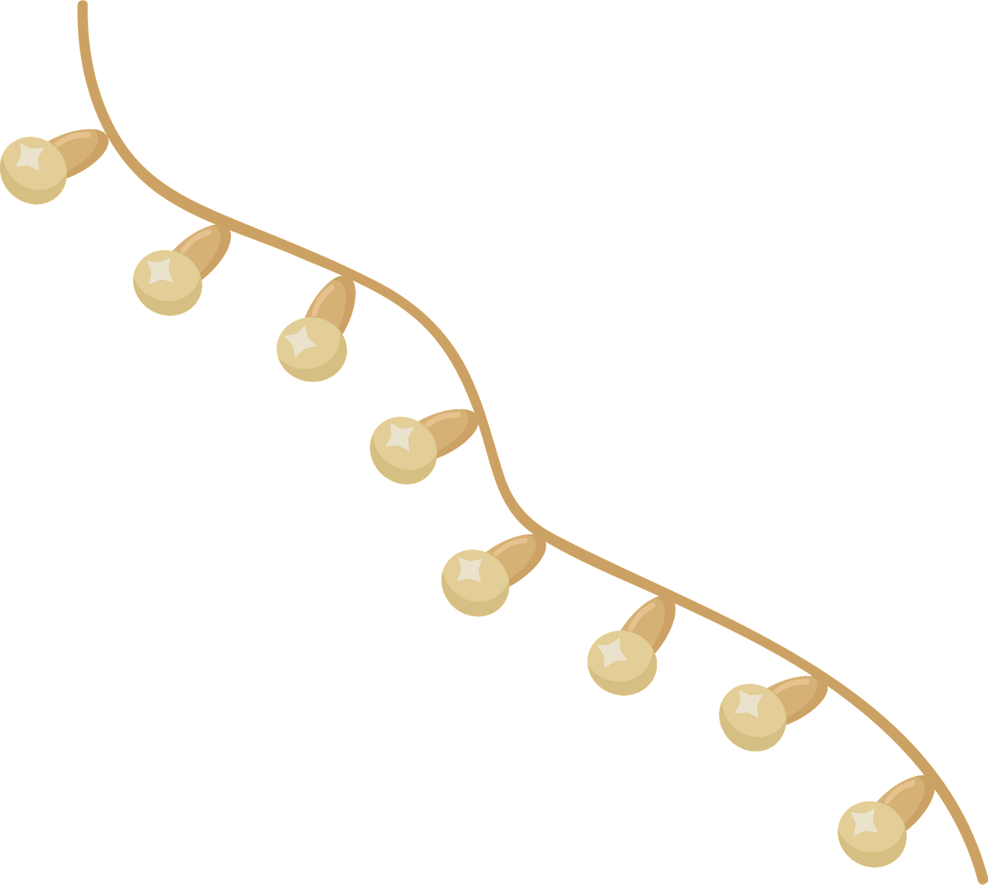 String Lights PNG Images Free Photos PNG Stickers Wallpapers Clip 
