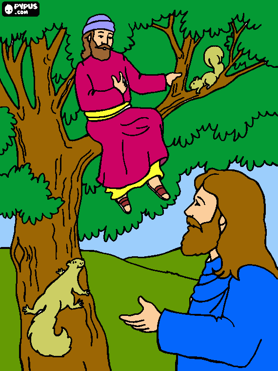 Zacchaeus, Little Bible Heroes Board Book | Lifeway - Clip Art Library