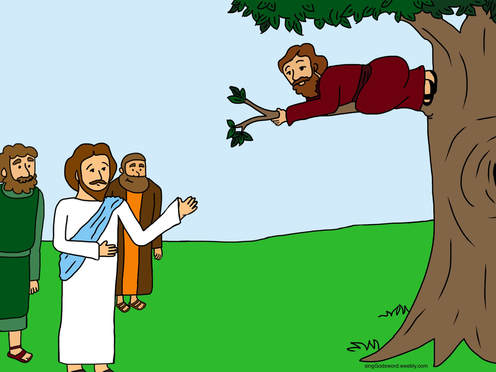 zacchaeus clipart