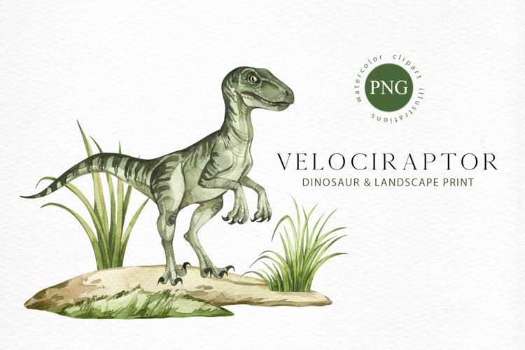 Velociraptor Png Vector Psd And Clipart With Transparent Clip Art