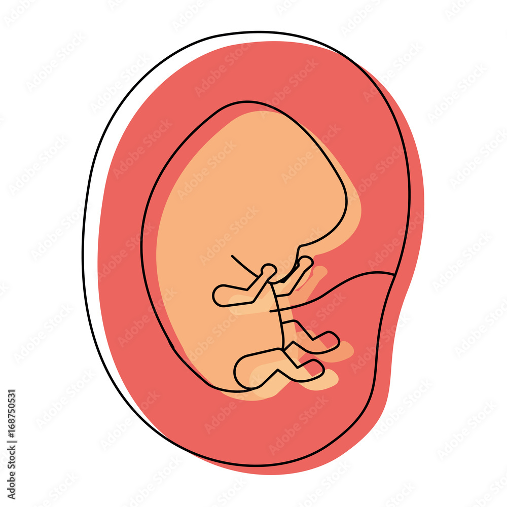 Placenta Encapsulation Doula Services In Los Angeles Area Clip Art 