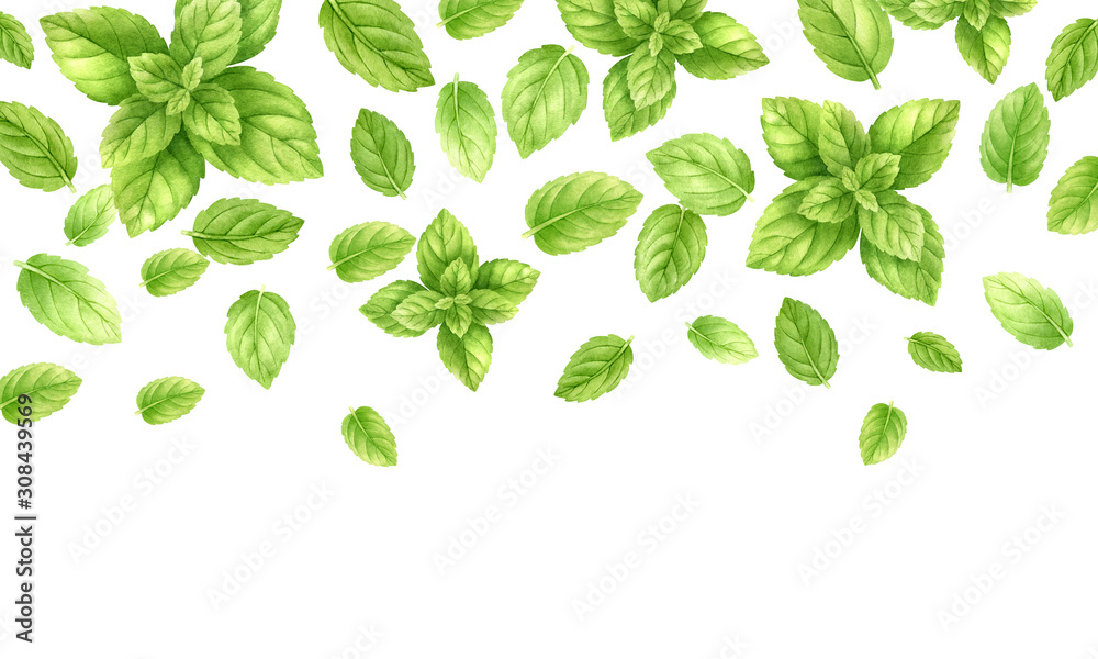 31,900+ Mint Leaf Illustrations, Royalty-Free Vector Graphics - Clip Art  Library