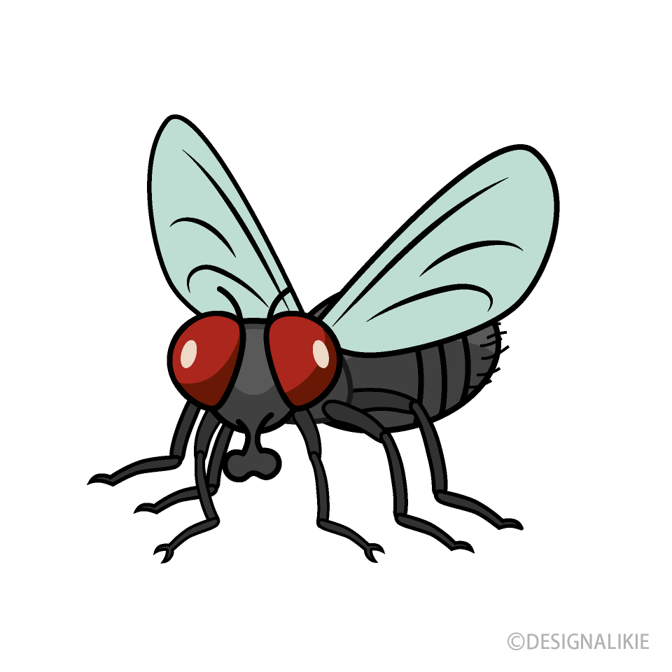 cute fly clipart