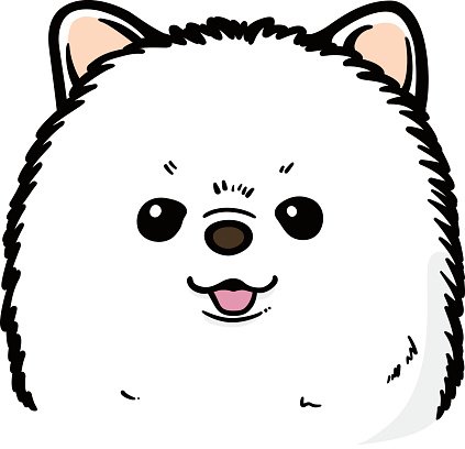pomeranian clipart