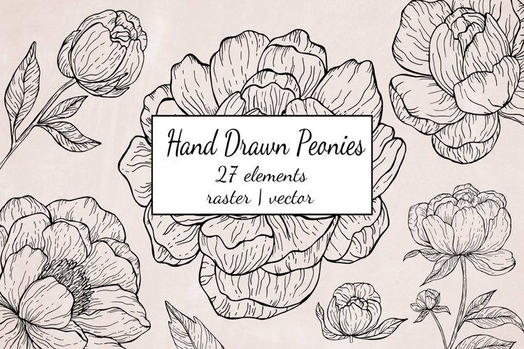 Watercolor Peony Floral Clipart - Border Red Peony Flowers