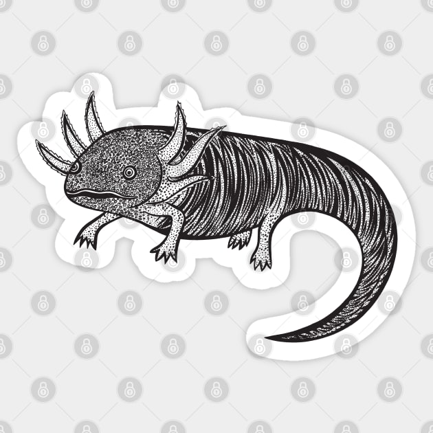 axolotl clipart black and white