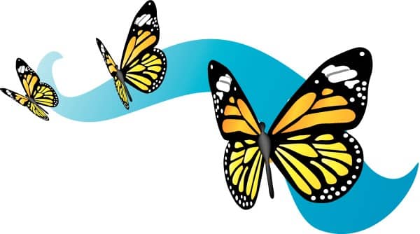 Butterfly Black And White Clipart Butterfly Png - Monarch 