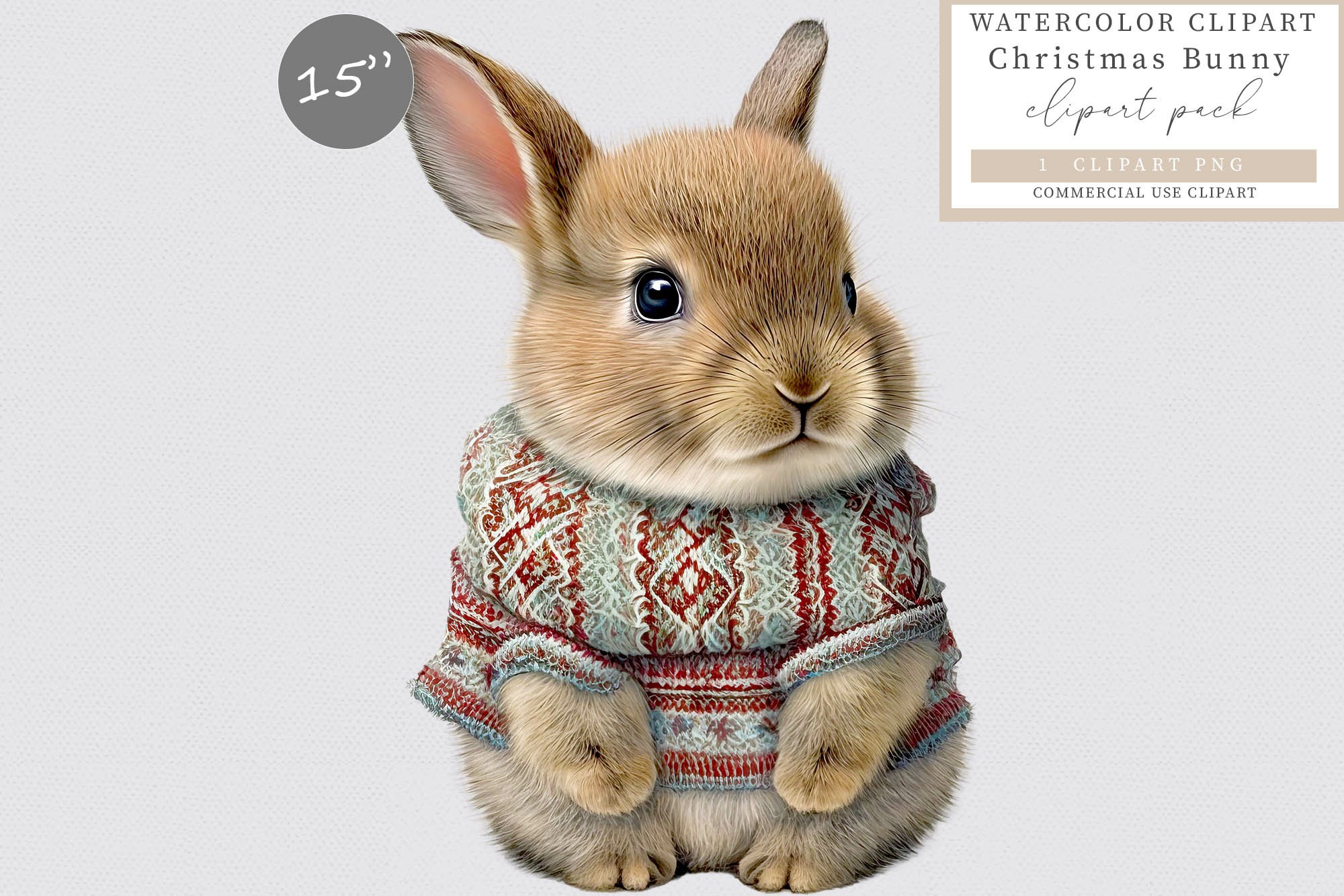17,361 Easter Bunny Clipart Images, Stock Photos, 3D objects 