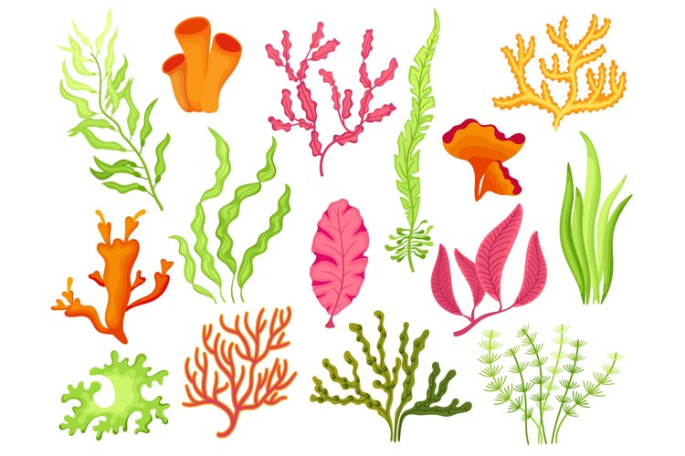 Free Vectors | seaweed
