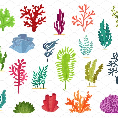 Seaweed Stock Illustrations – 72,148 Seaweed Stock Illustrations - Clip ...