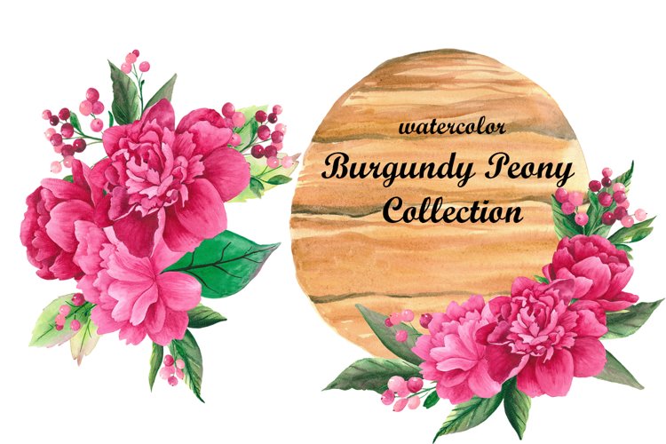 peony clipart
