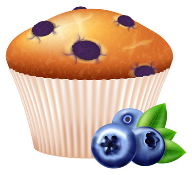 blueberry muffin clipart