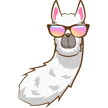 Cute Girl Llama Face with Shades Graphic by CaptainCreative