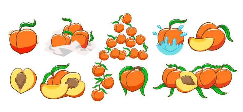 peach clipart