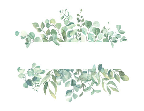 Eucalyptus border clipart. Watercolor greenery (2559540) - Clip Art Library