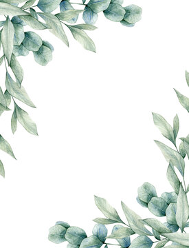 Eucalyptus Border Png Transparent Images Free Download Vector Clip