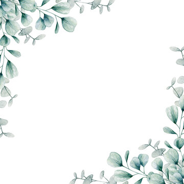 Eucalyptus Border Images – Browse 54,284 Stock Photos, Vectors 
