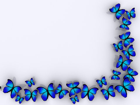 Butterfly Borders Stock Illustrations – 1,106 Butterfly Borders - Clip 