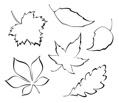 Autumn leaf outline template clipart free to use clip art resource 