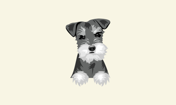 miniature schnauzer clipart