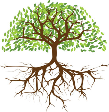 Tree heart roots clipart | Tree illustration, Family tree clipart ...