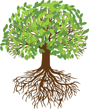 Roots SVG, Root SVG, Tree Roots Svg, Tree Root svg Family Svg, Roots ...