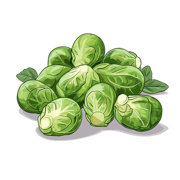 brussel sprout clipart