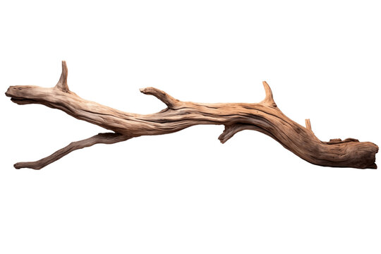 153 Driftwood Stock Illustrations | Depositphotos - Clip Art Library