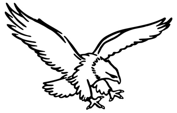 eagle flying clipart