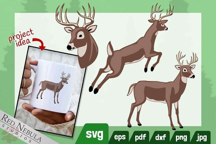 whitetail buck clipart