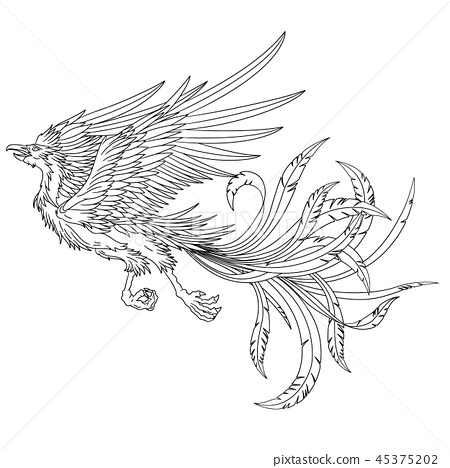 Fire Phoenix Clipart Gráfico por SugarPlum · Creative Fabrica