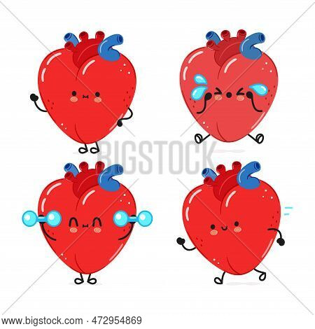 heart organ clipart