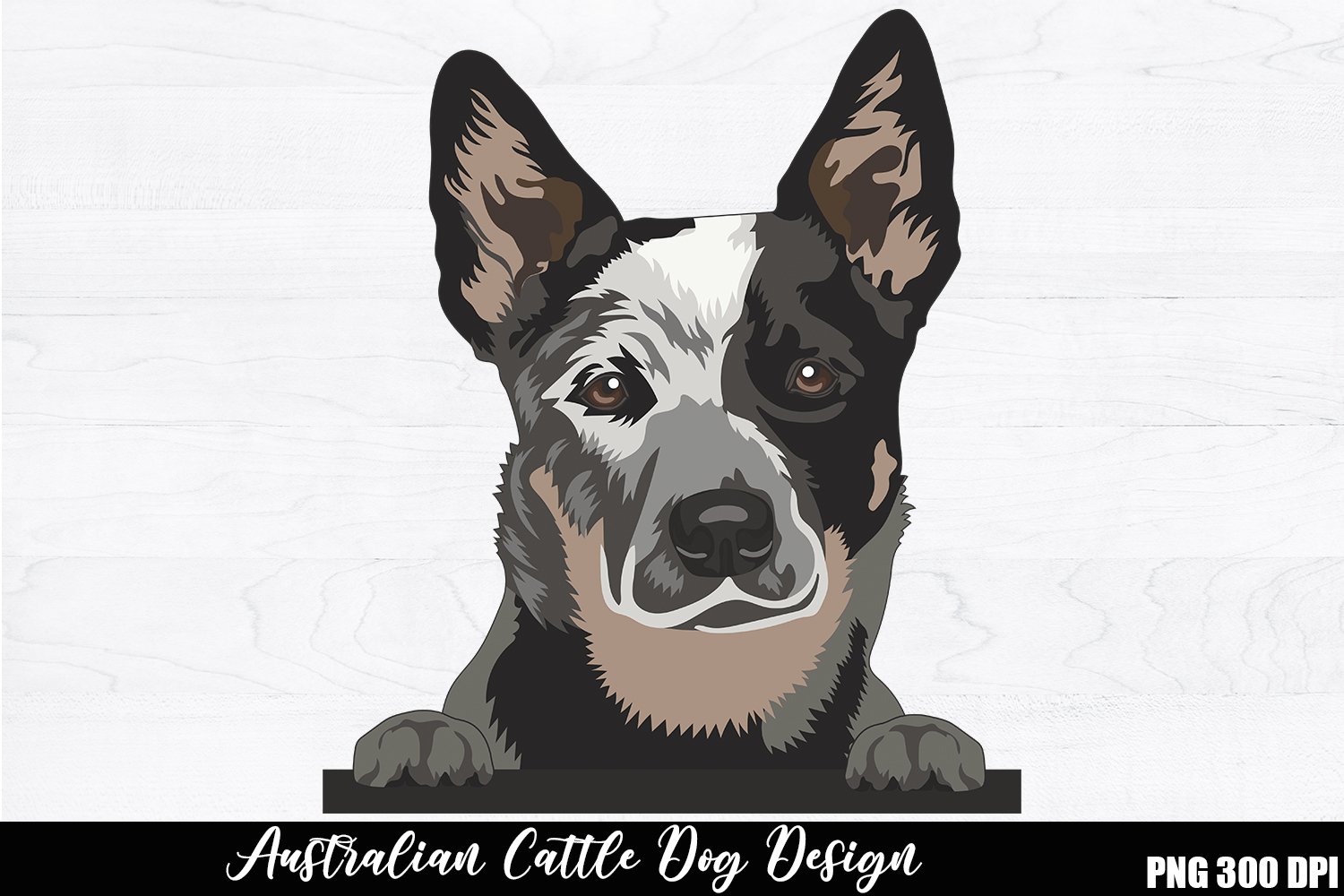 australian cattle dog clipart