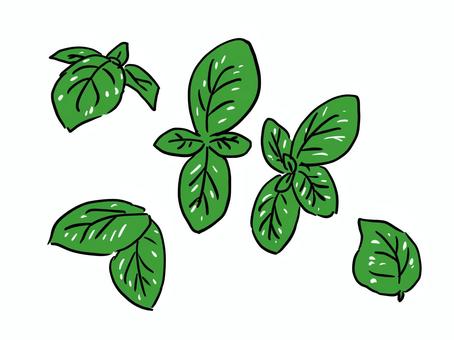 Black White Fresh Basil Plant Stock Illustrations – 550 Black 
