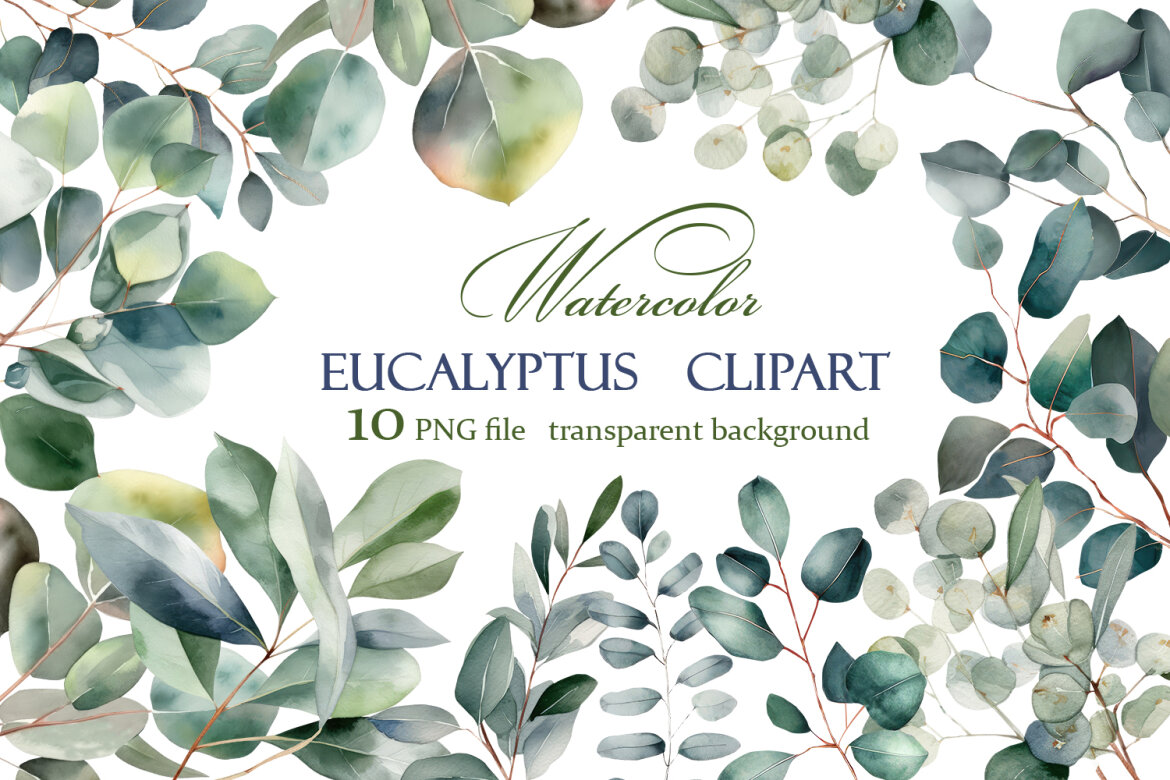 free eucalyptus clipart