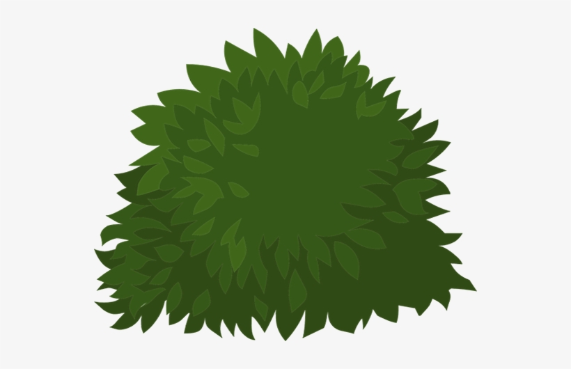 Cactus and Succulents Clipart | Plants Clipart | Made By Teachers